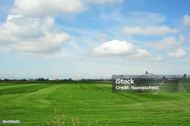 Wheel Line Irrigation System Stock Photo - Download Image Now - Agricultural Field, Agriculture, Bird