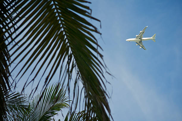 istock Jet Flies with Palm Trees in the Foreground 184290739