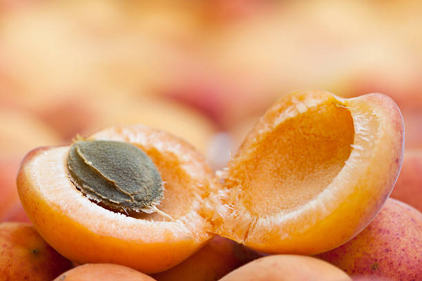 Apricot Close Up "Close up of a nice, juicy, ripe apricot with seed in it. Fruit and healthy lifestyle concept." nucleus stock pictures, royalty-free photos & images