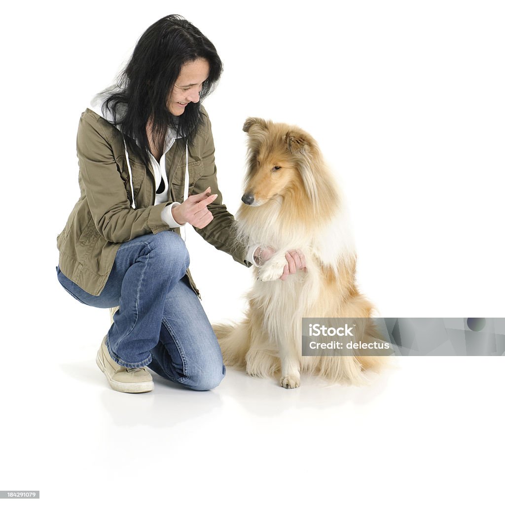 Dog training Wife and dog in dog training. Dog Stock Photo