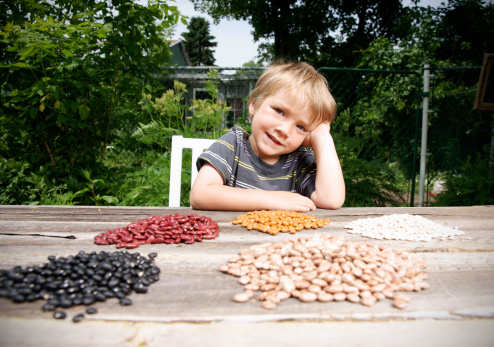 A little boy with a large selection of dry organic beans outside in the garden.Please browse my: