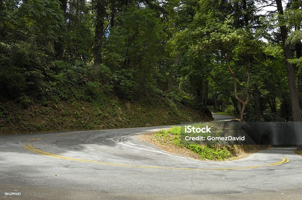 California Road Winding Through Madrone and Redwood Forest "Remote California country road winding through Madrone and Redwood forest.Taken on the Central California Coast.Please view related images below or click on the banner lightbox links to view additional images, from related categories." Asphalt Stock Photo