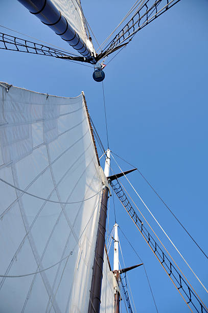 Sails and Masts View from below sails and masts of schooner sailing ship. gaff sails stock pictures, royalty-free photos & images