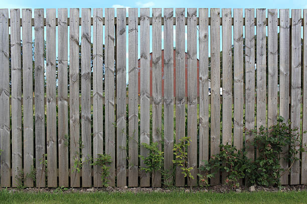 istock Wooden Fence 184291568