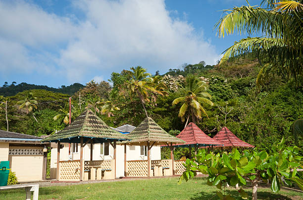 istock Caribbean Picnic Area 184291589