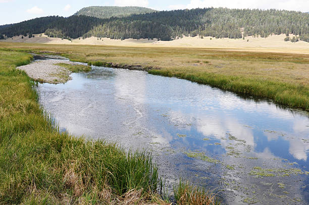 Jemez River and Mountains "Jemez River, clouds, sunshine, and mountains on the Valles Caldera National Preserve (the Old Baca Ranch) located in a volcanic crater near Los Alamos, Albuquerque, and Santa Fe, New Mexico" albuquerque volcanoes stock pictures, royalty-free photos & images