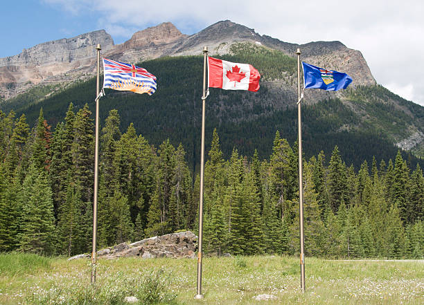 istock Flags marking the Canadian Continental Divide 184292222