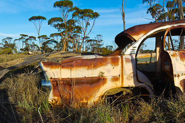 istock rusty old car in the bush 184292493