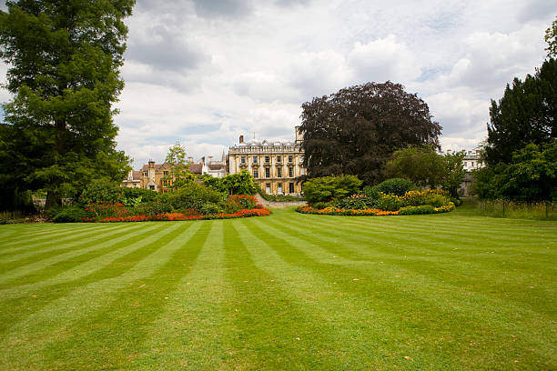 istock Clare College Garden Lawn 184292610