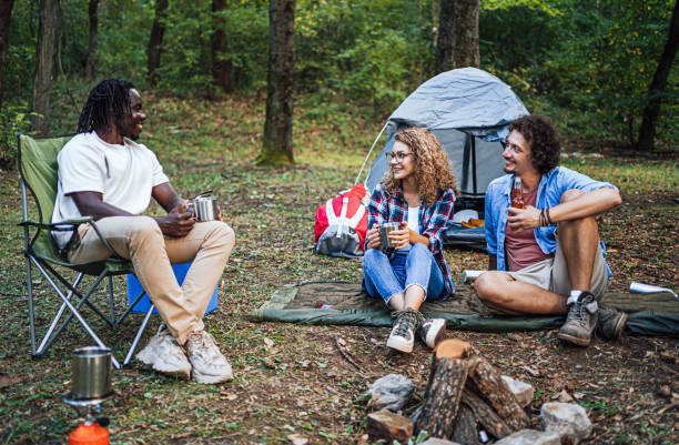 istock Friends camping in the forest together 1842936563