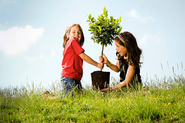 dos chicas plantando un árbol - little girls only fotografías e imágenes de stock