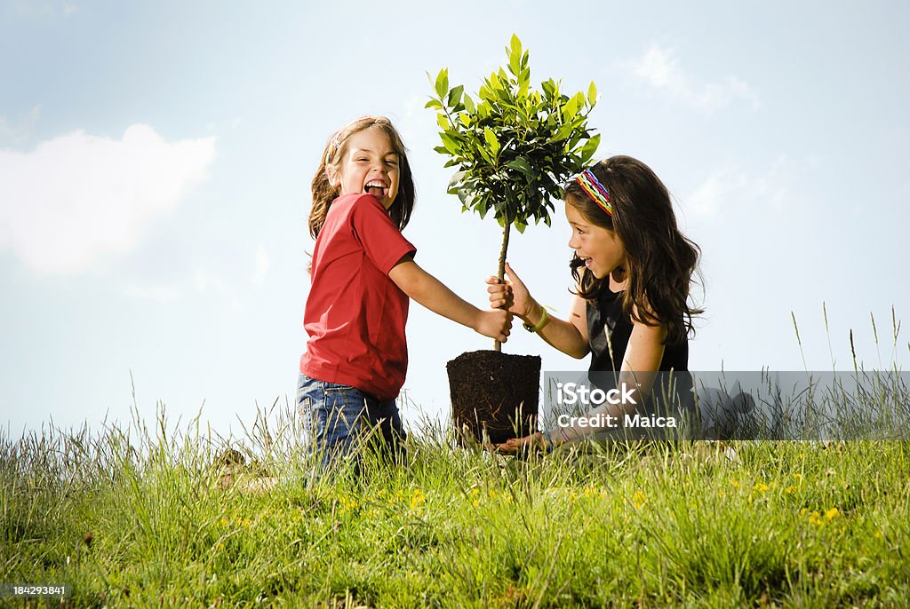 Duas Meninas em uma árvore - Royalty-free Árvore Foto de stock