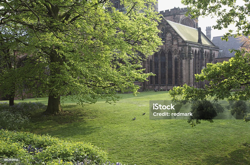 Frühling Tag im Chester Cathedral Garten in England - Lizenzfrei Baum Stock-Foto