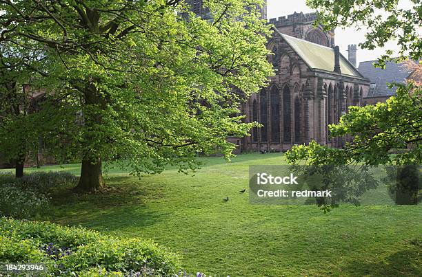 Frühling Tag Im Chester Cathedral Garten In England Stockfoto und mehr Bilder von Baum