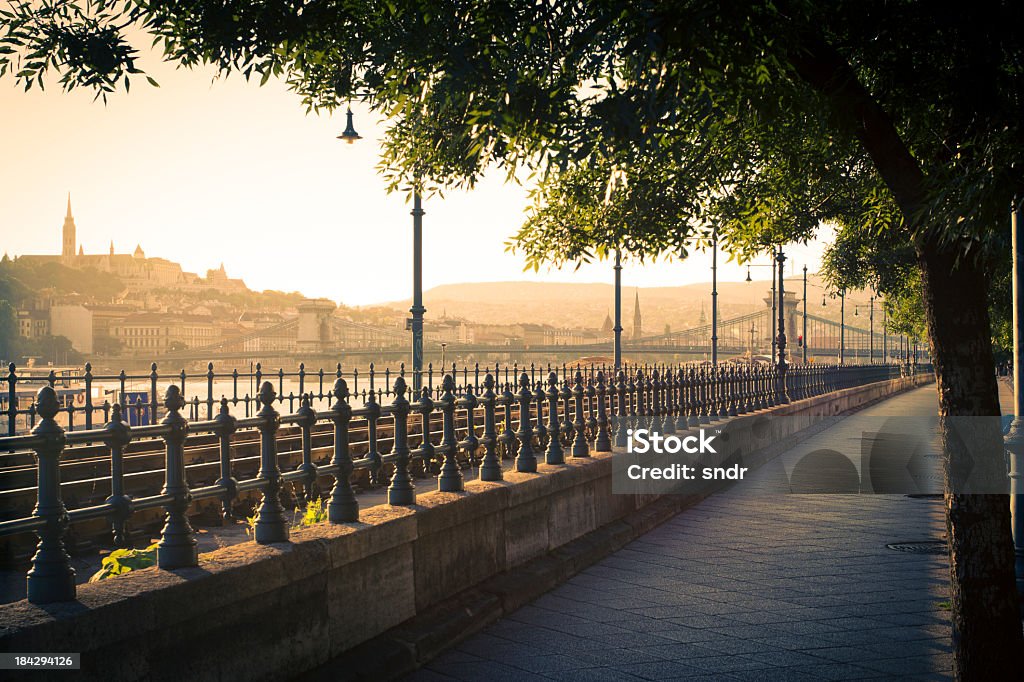 Budapest Riva del fiume - Foto stock royalty-free di Albero