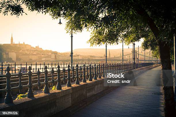 Budapest Riva Del Fiume - Fotografie stock e altre immagini di Albero - Albero, Ambientazione esterna, Architettura