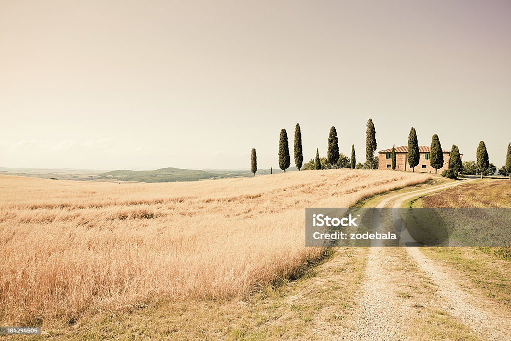 Casa rural de la Toscana - Foto de stock de Antigualla libre de derechos