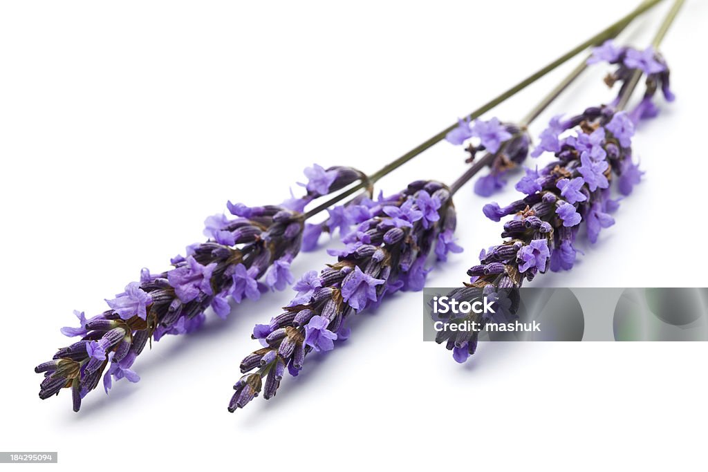 Lavanda - Royalty-free Sabonete Foto de stock