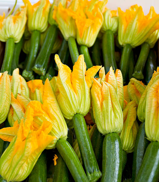 bebé calabacín con cerezos en flor - zucchini flower squash summer fotografías e imágenes de stock