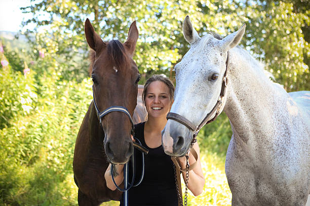 istock Happy young rider with two horses, Norway 184295611