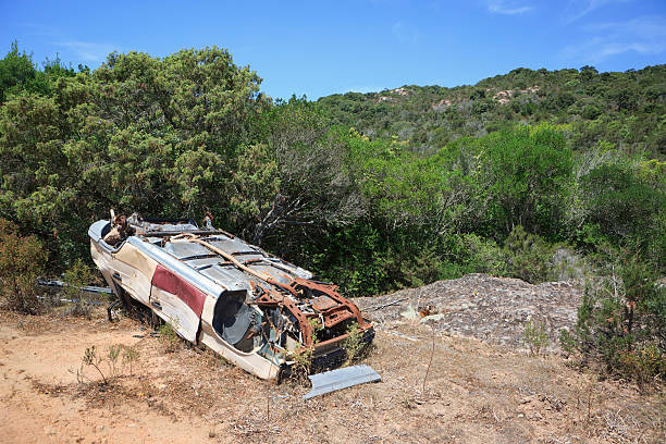 istock Abandoned car wreck in nature 184295918