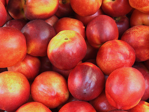 istock Fruit Background with Juicy Ripe Peaches 184296210