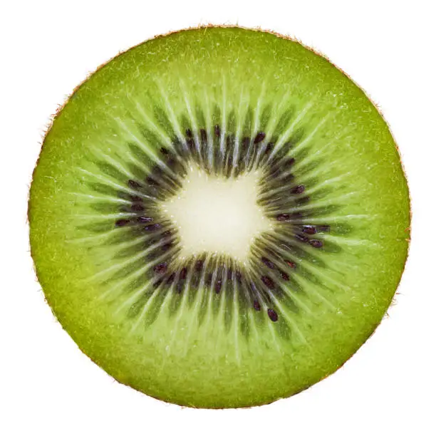 Kiwi (actinidiaceae) portion on white background.Related pictures: