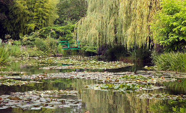 monet s garden, giverny, francia - water lily foto e immagini stock