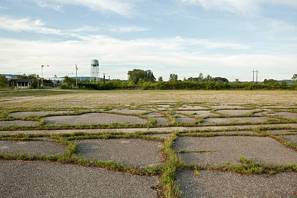 Grass Growing in the Parking Lot