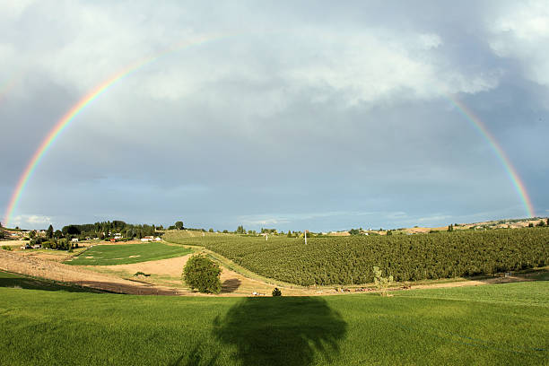 arc-en-ciel sur les vergers - fish eye lens photos et images de collection