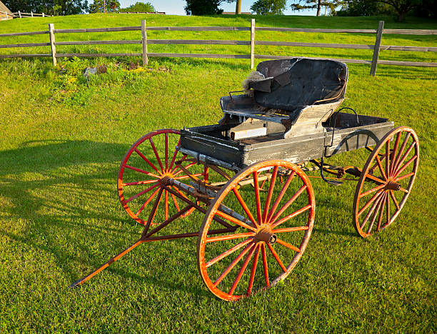 istock Old Fashioned Buckboard Wagon in Rural Pasture 184298251