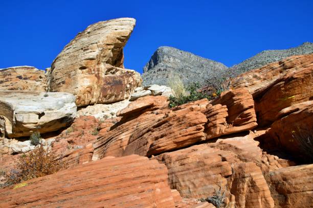 istock Red Rock Canyon National Conservation Area 1842983338