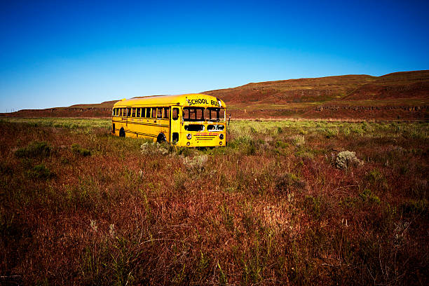 vieille abandonnée bus scolaire - bussing photos et images de collection
