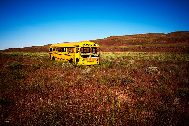 old abandonado autocarro escolar - bussing imagens e fotografias de stock