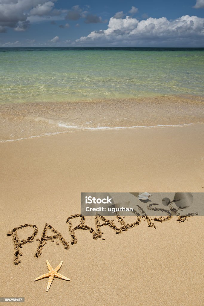 Beach The Paradise writing on sand. Animal Shell Stock Photo