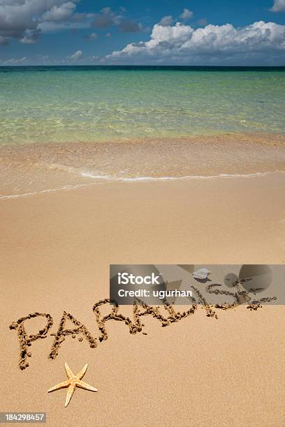 Beach Stock Photo - Download Image Now - Animal Shell, Backgrounds, Beach