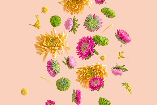 Playful spring flower blooms of pink, pastel orange, and vibrant green hues hover against a peach background. Summer creative concept.
