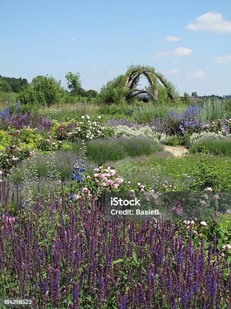 Sommer In Den Kräutergarten Stockfoto und mehr Bilder von Lavendel - Lavendel, Hausgarten, Rose