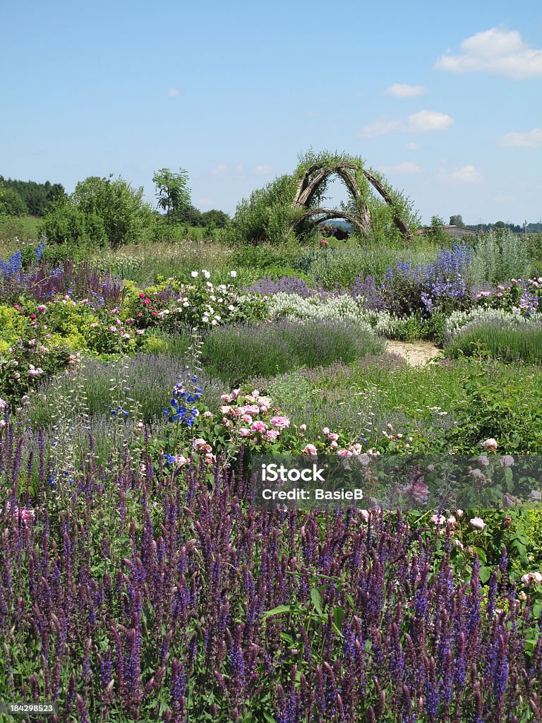 Verão, o jardim de ervas - Foto de stock de Lavanda - Planta royalty-free
