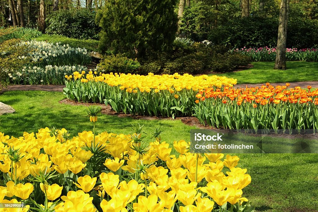 Garten im Frühling - Lizenzfrei Baum Stock-Foto