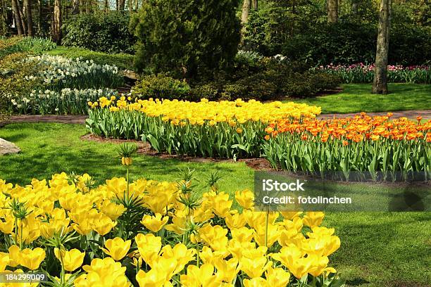 Jardín En Primavera Foto de stock y más banco de imágenes de Accesorio de jardín - Accesorio de jardín, Aire libre, Ajardinado