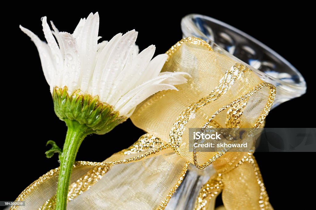 Wet branco com fita de ouro vaso de flor - Foto de stock de Branco royalty-free