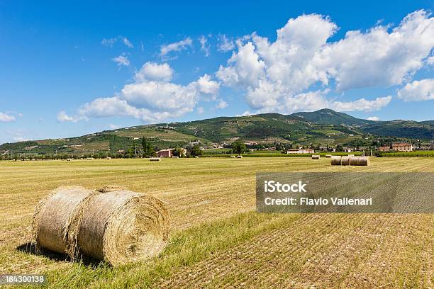 Foto de Valpolcella Campos Itália e mais fotos de stock de Agricultura - Agricultura, Ajardinado, Brilhante - Luminosidade