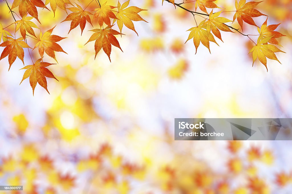 Quadro de outono - Foto de stock de Amarelo royalty-free