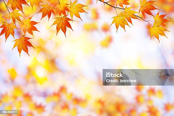 Foto de Quadro De Outono e mais fotos de stock de Amarelo - Amarelo, Beleza, Beleza natural - Natureza
