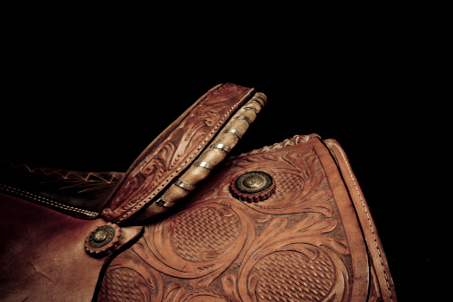 Western barrel racing saddle on horse with saddle pad with blue sky background