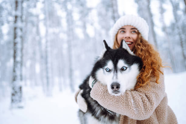 niedliche frau verbringt zeit mit ihrem husky-hund im winterlichen schneewald. - snow dog walking running stock-fotos und bilder