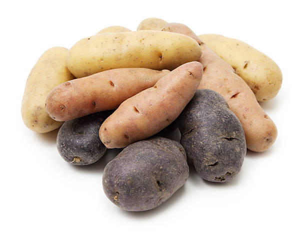 lachs-kartoffeln - kartoffel wurzelgemüse stock-fotos und bilder