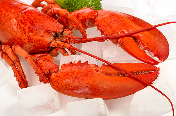 istock Close up of lobster on ice 184300523