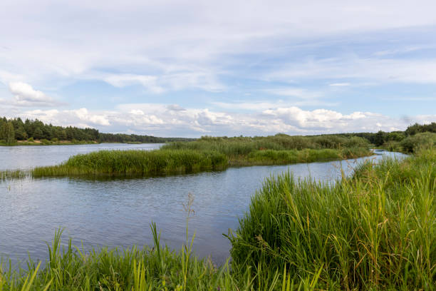 istock water with waves in the river in summer with green grass 1843005330
